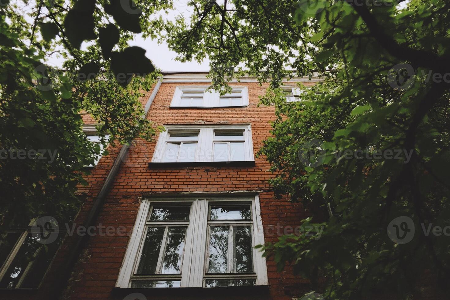 A building with many windows and trees photo