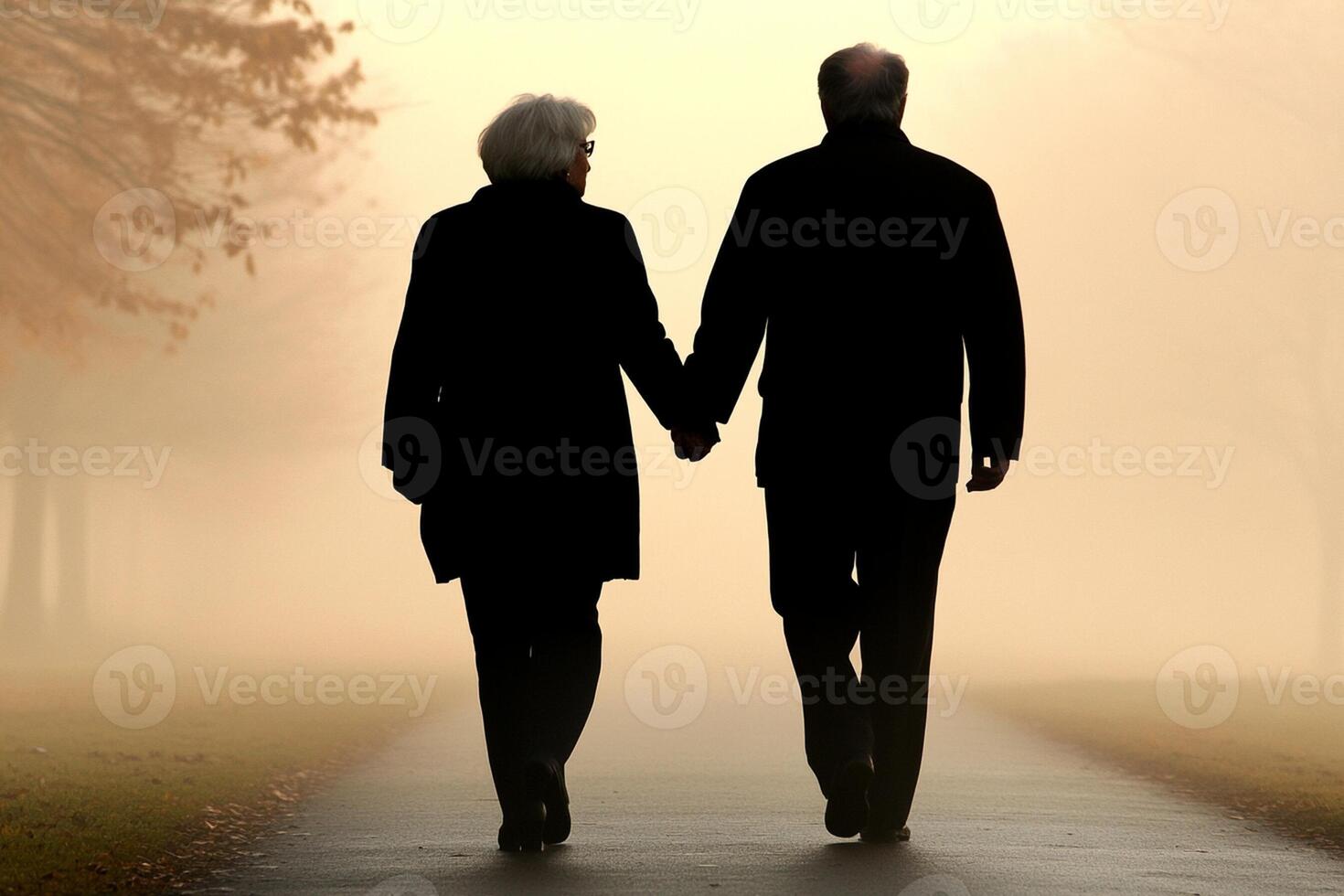 An older couple walking down a path in the fog photo