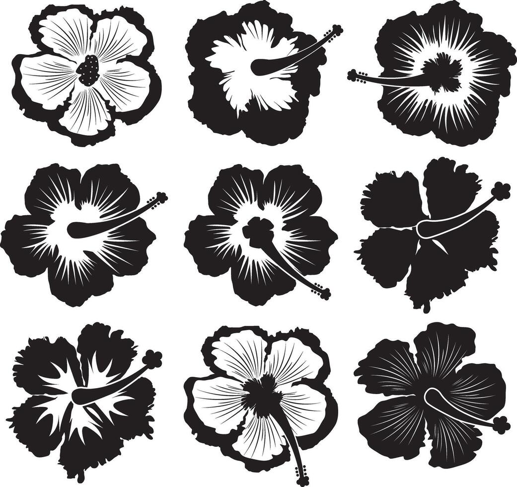 Hibiscus Silhouette, Summer Time, Beach, Vacation Trip vector