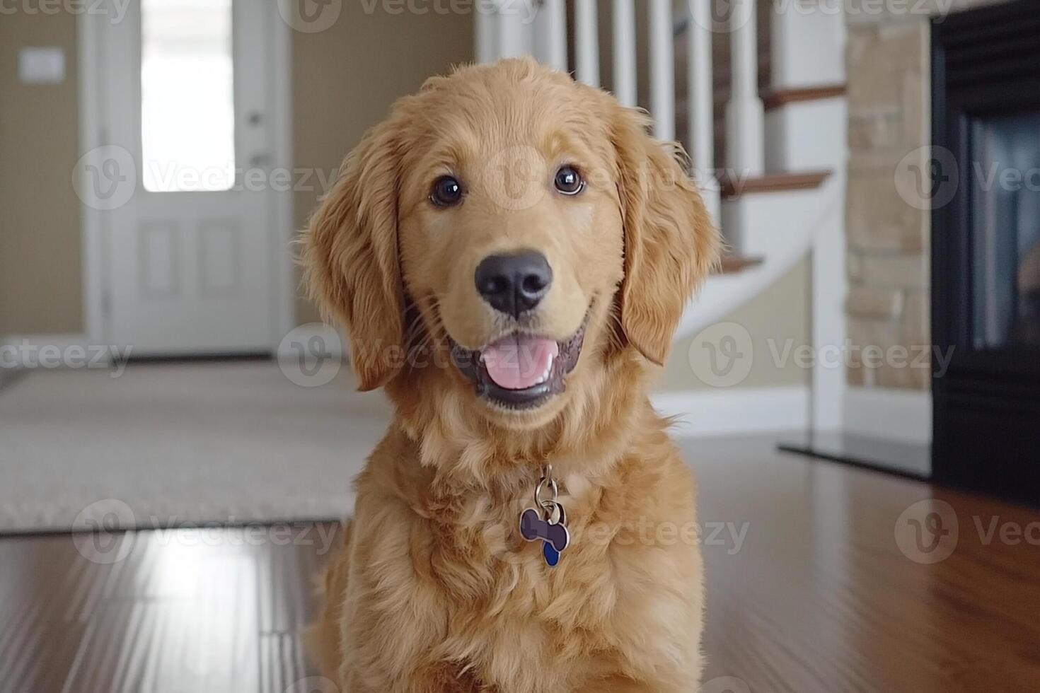A golden retriever sitting on the floor in front of a fireplace photo