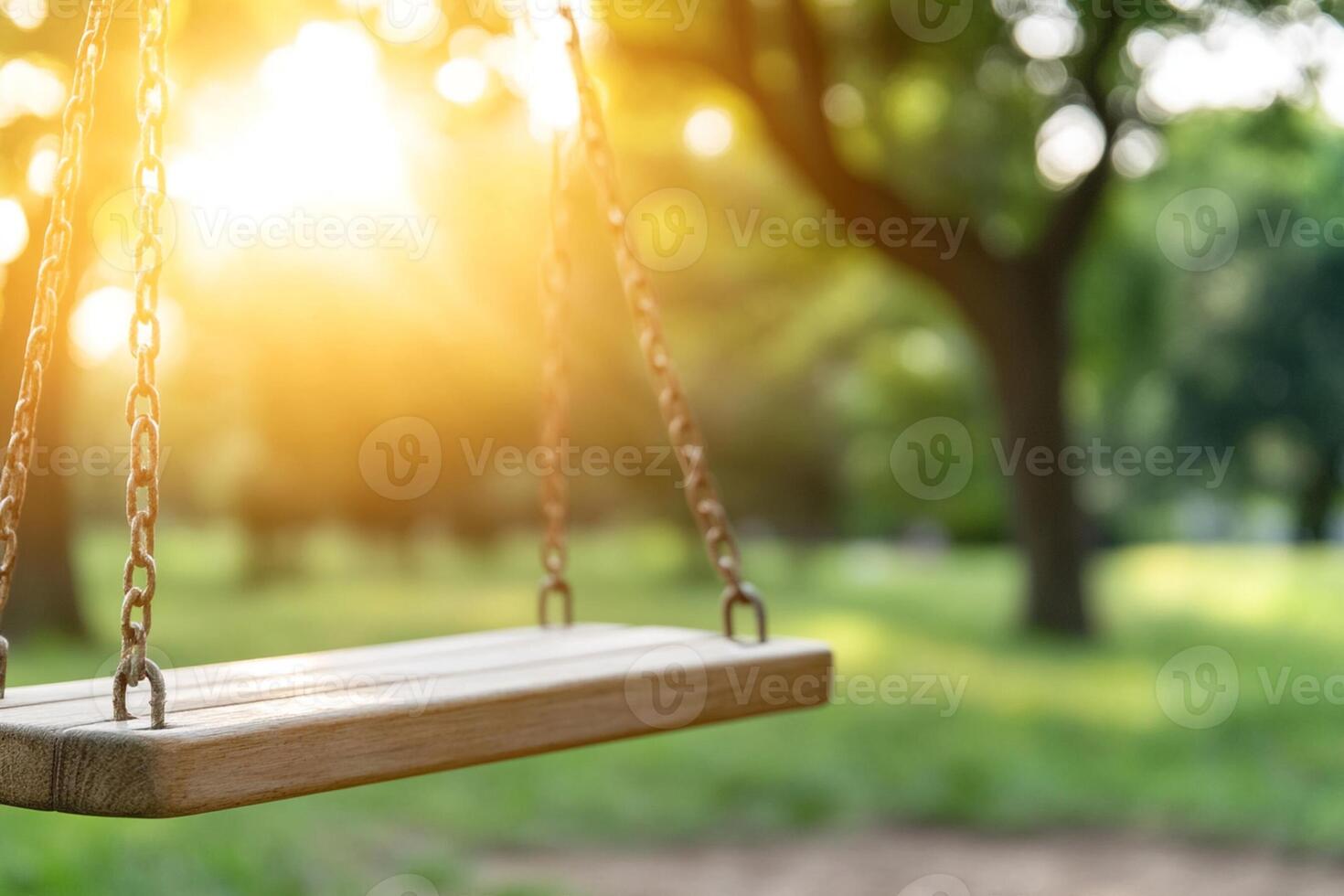 A swing is shown in the sun with trees in the background photo
