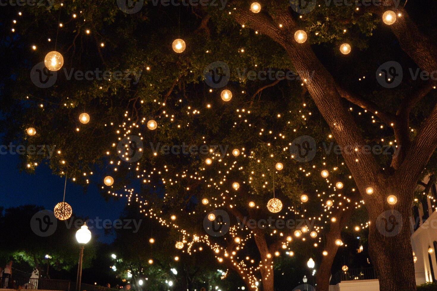 A street lined with trees with lights hanging from them photo