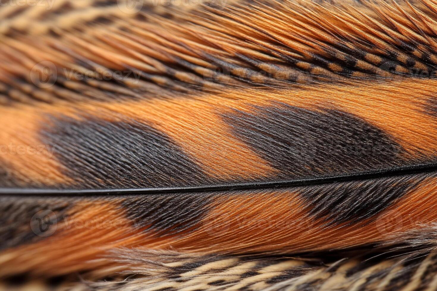 A close up of a bird's feather with black and orange stripes photo