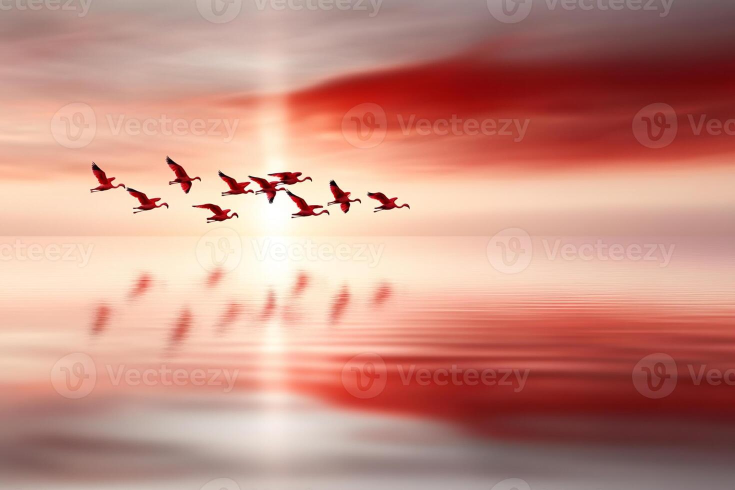 Red birds flying over the ocean at sunset photo