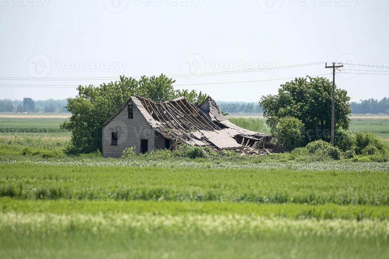 An old house in the middle of a field photo