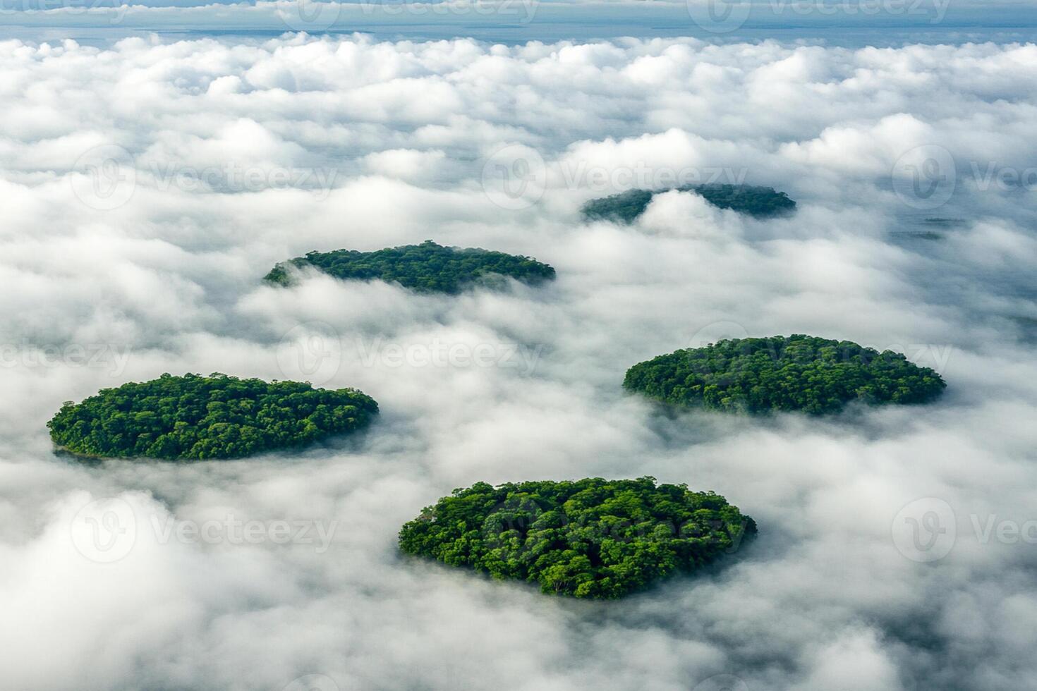 A group of trees in the clouds photo