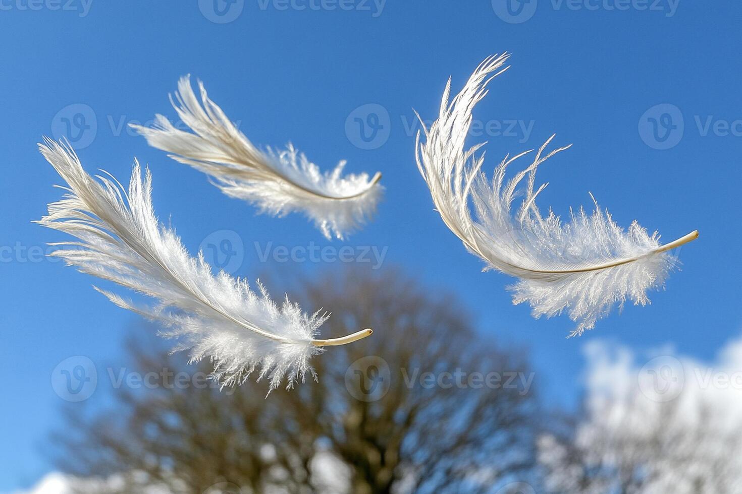 Three white feathers flying in the air photo