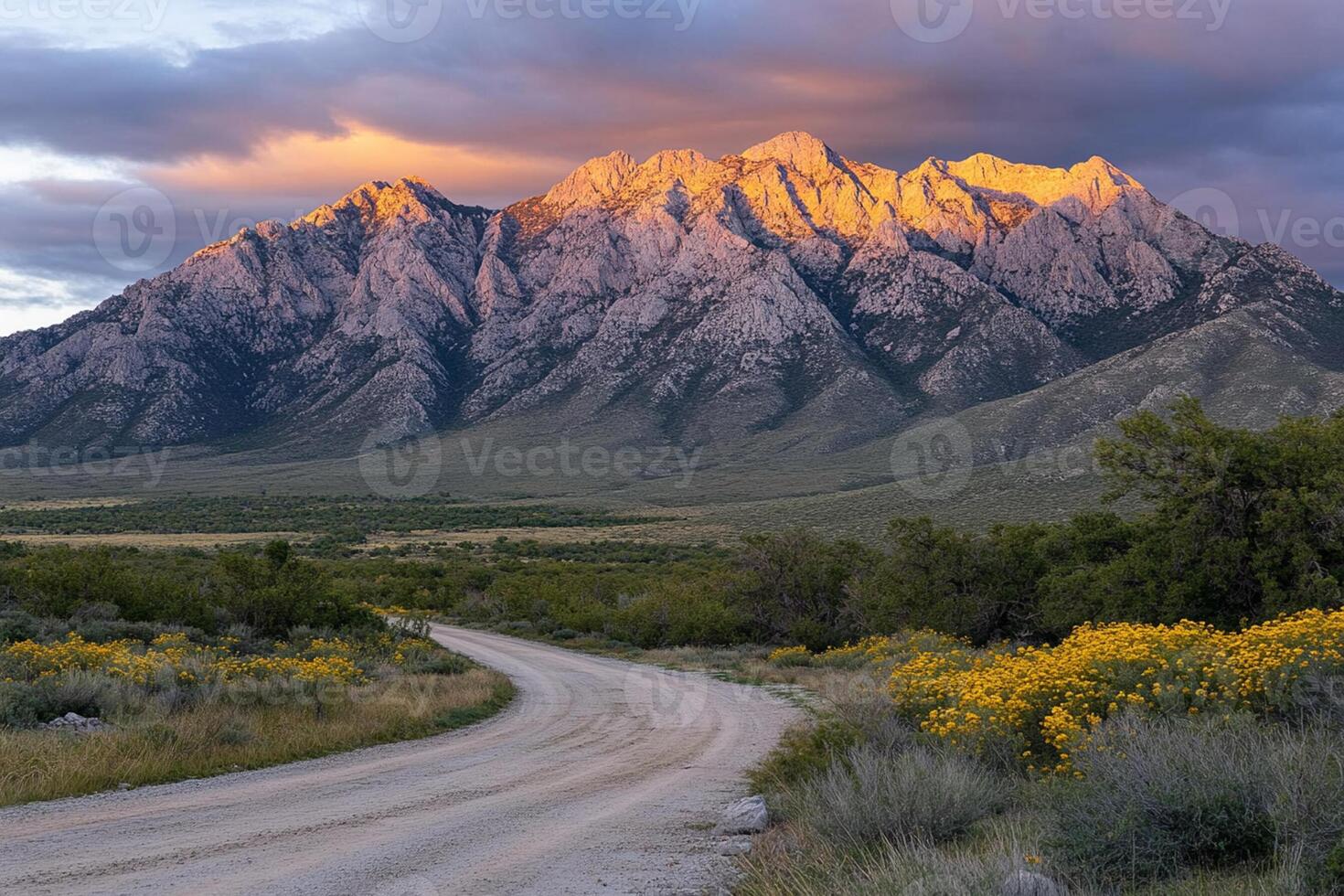 A dirt road with yellow flowers and mountains in the background photo