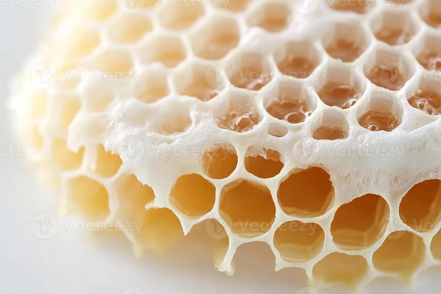 A close up of a honeycomb with honey photo