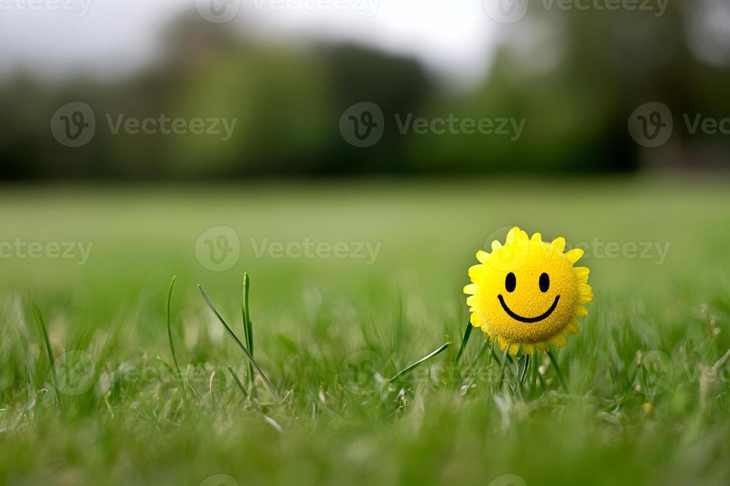 A yellow smiley face is sitting in the grass photo