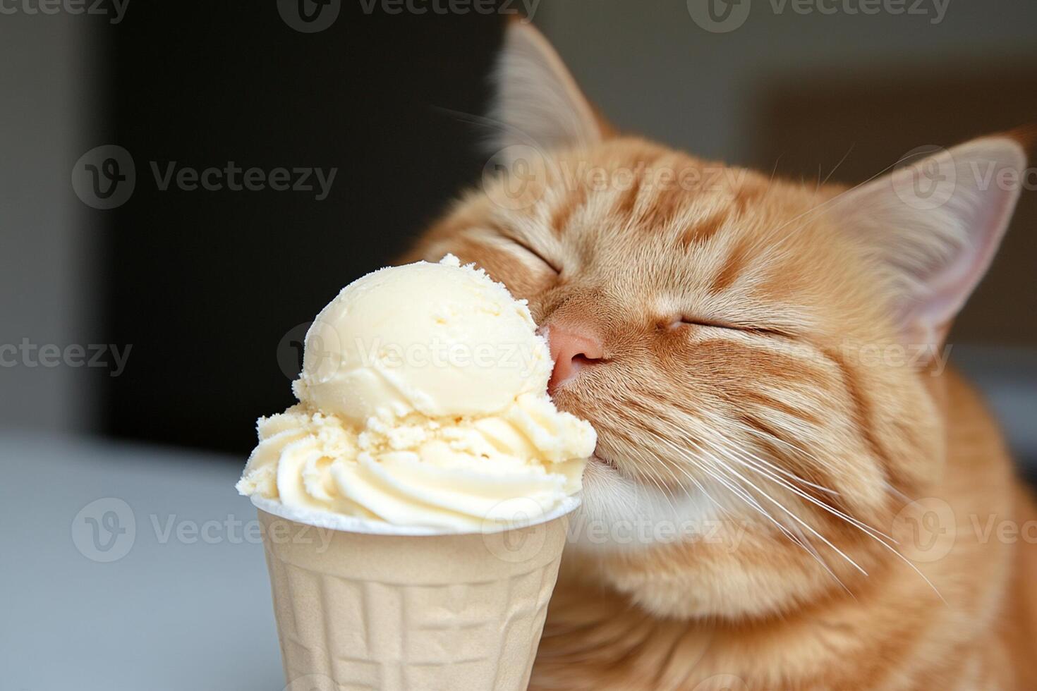 A cat licking a cone of ice cream photo
