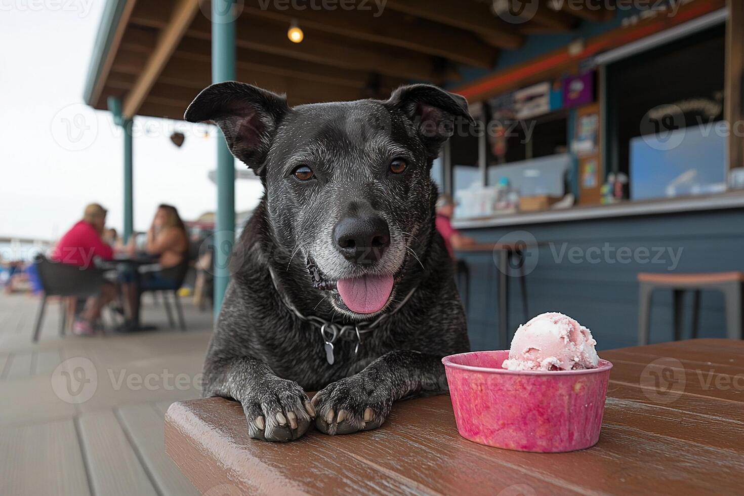 A dog sitting on a table photo