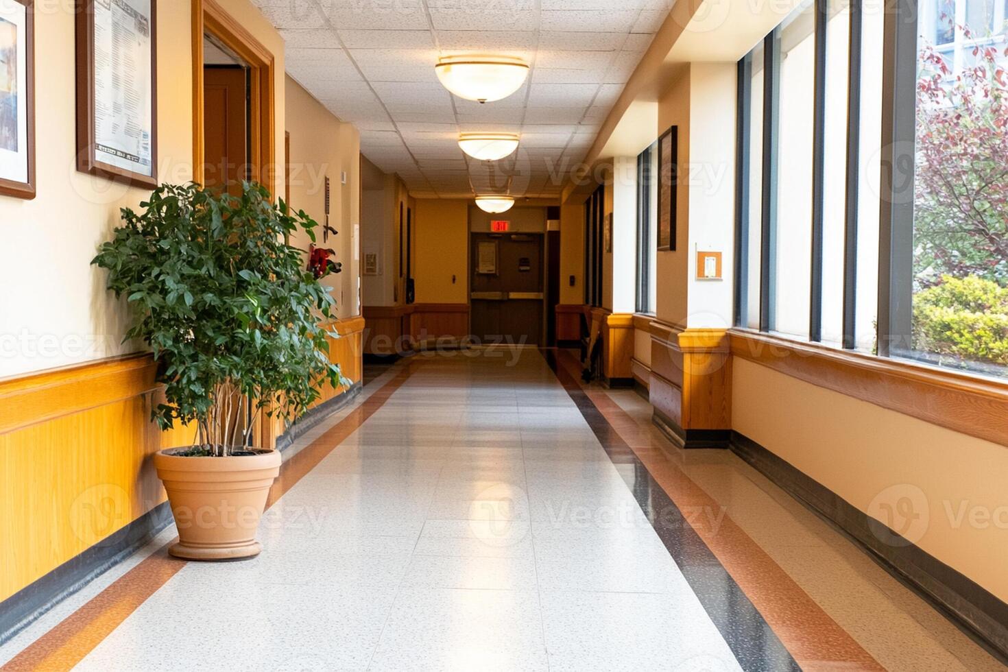 A hallway with a plant in a pot photo