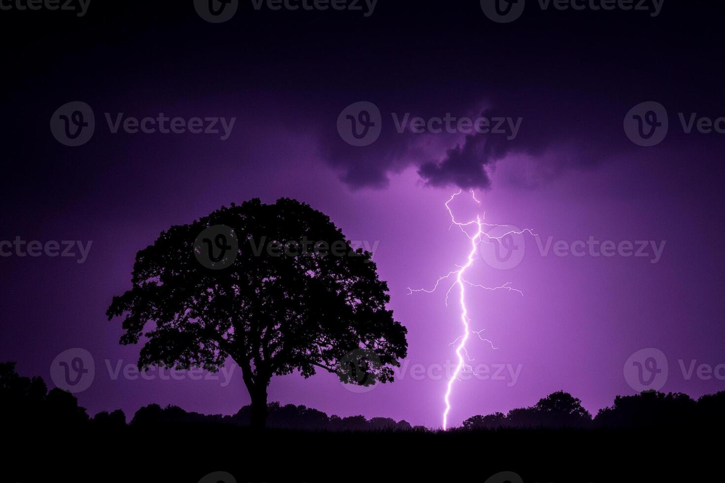 A lightning bolt strikes through the sky over a tree photo