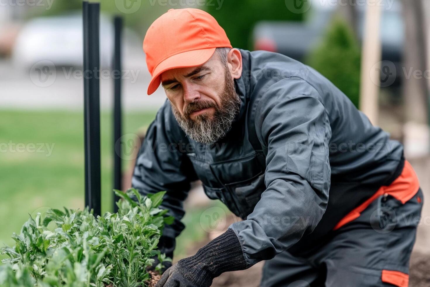 A man in an orange hat and orange shirt is planting plants photo