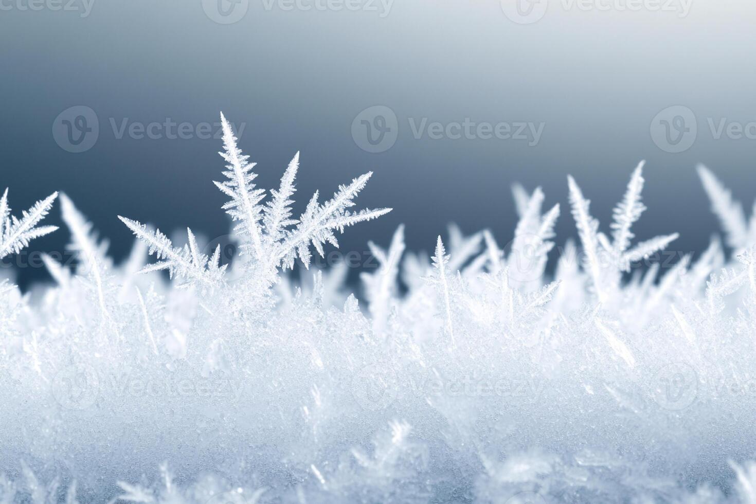 Frosty grass with blue sky background photo