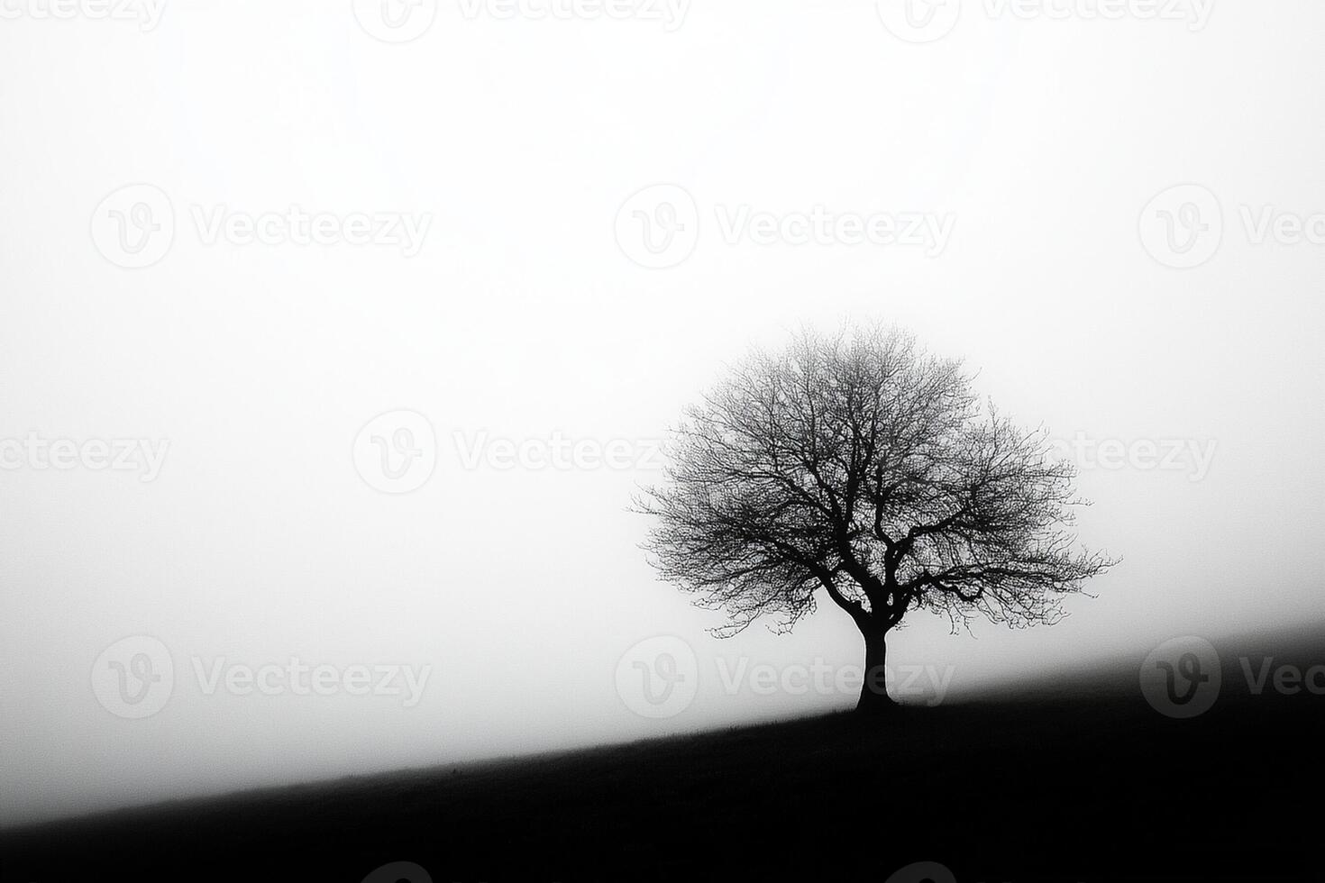 A lone tree stands on a hill in the fog photo