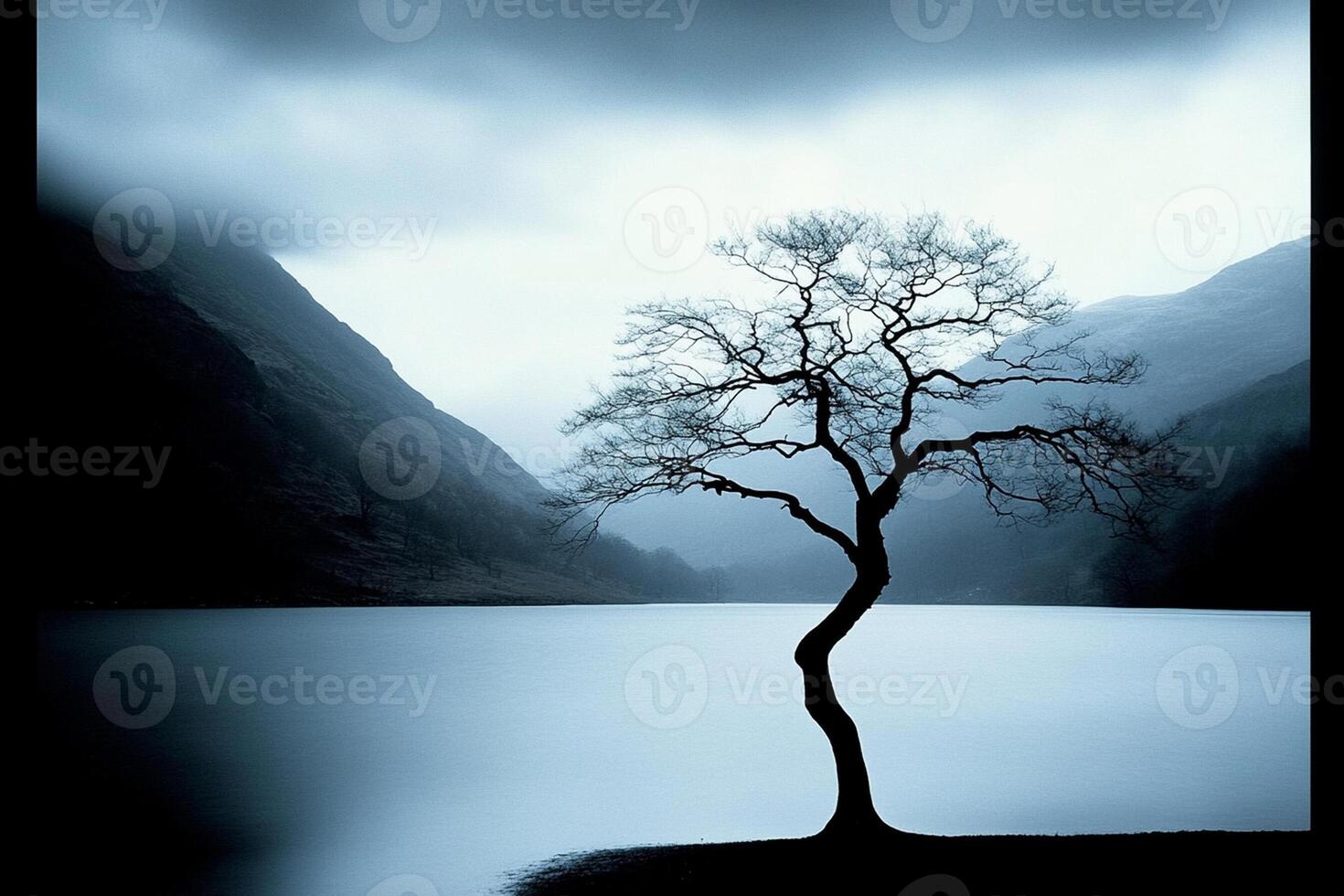 A lone tree stands in front of a lake photo