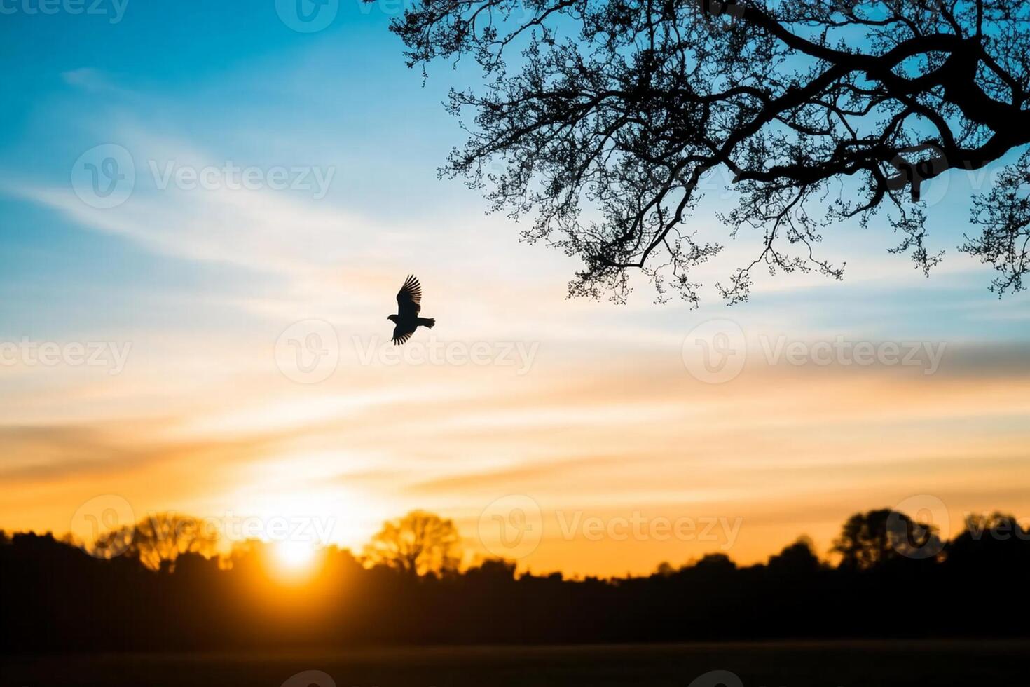 A bird flying over a field at sunset photo