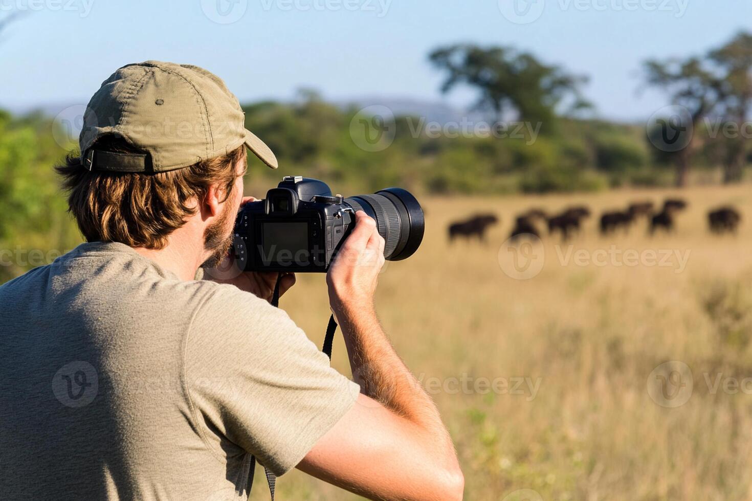 A man taking a photo of elephants in the wild