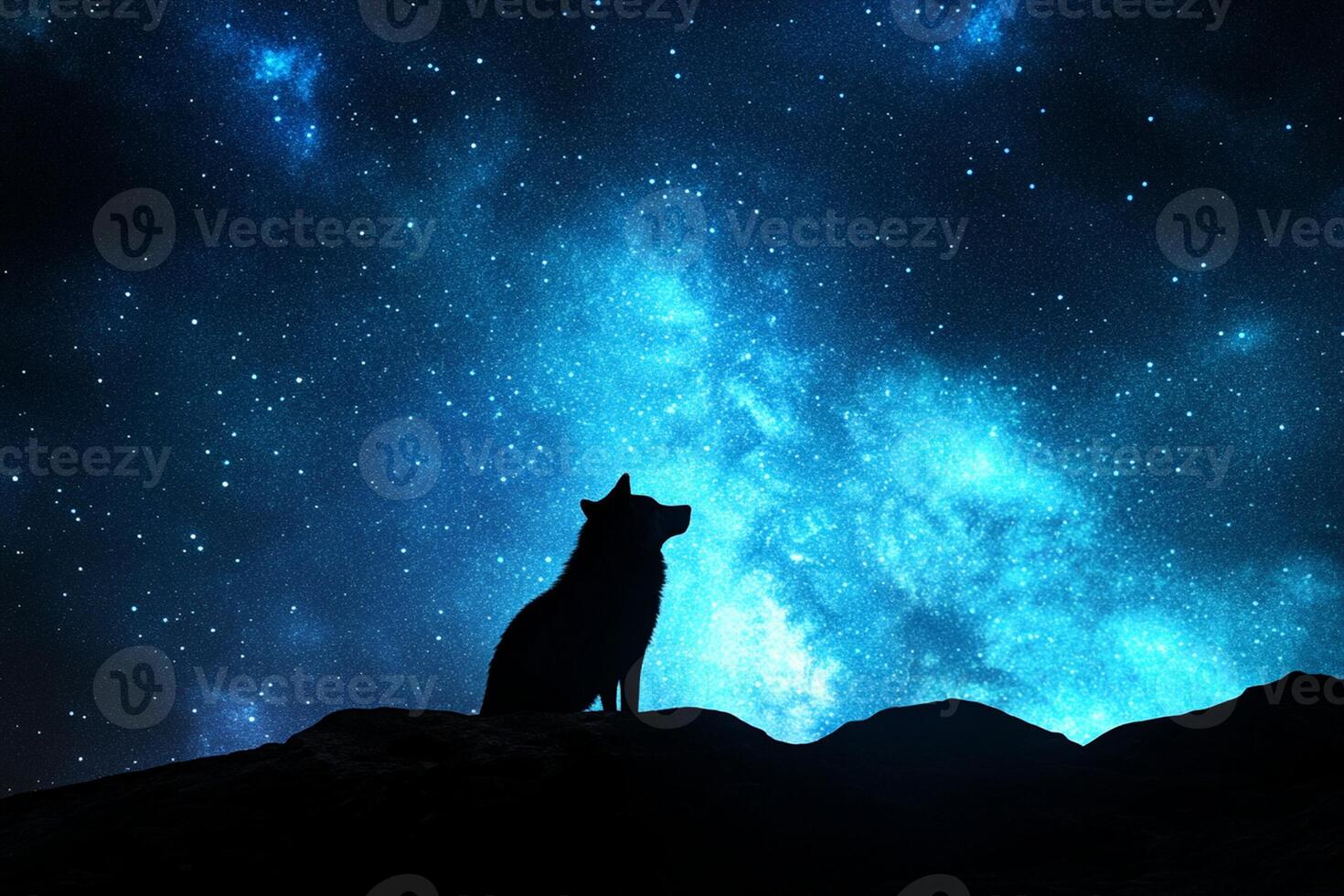A dog sitting on a rock in front of a starry sky photo