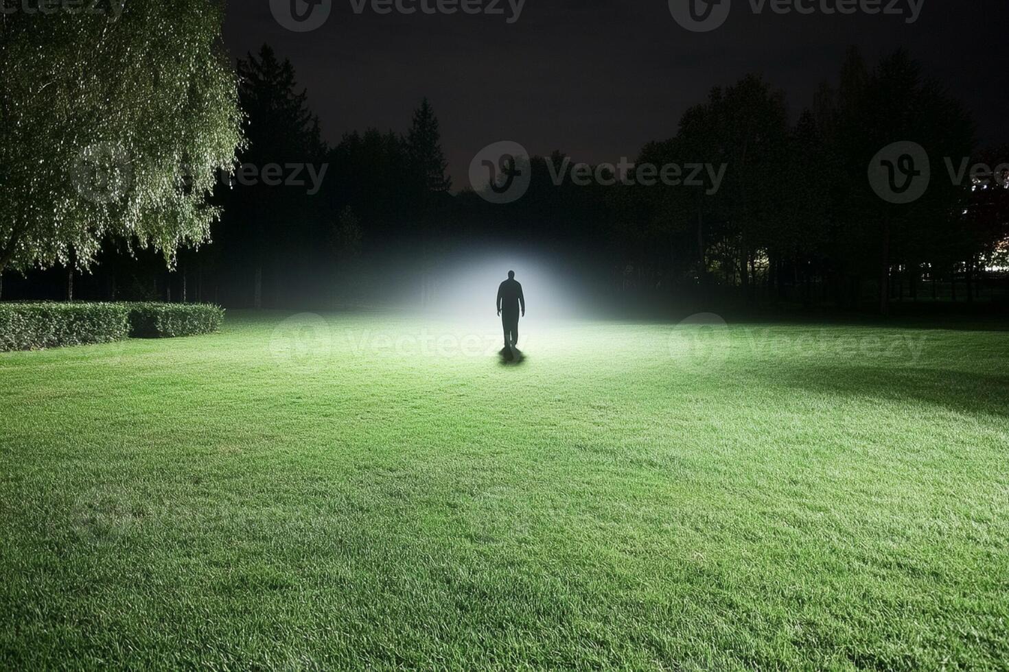 A person standing in the middle of a field at night photo
