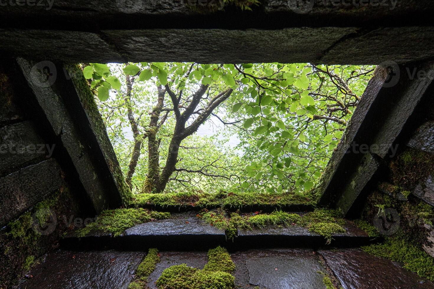 A window in a stone wall photo