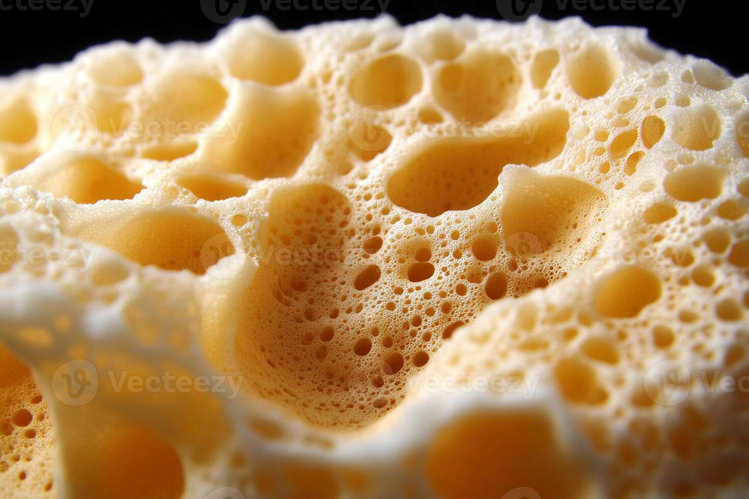 A close up of a sponge with bubbles photo