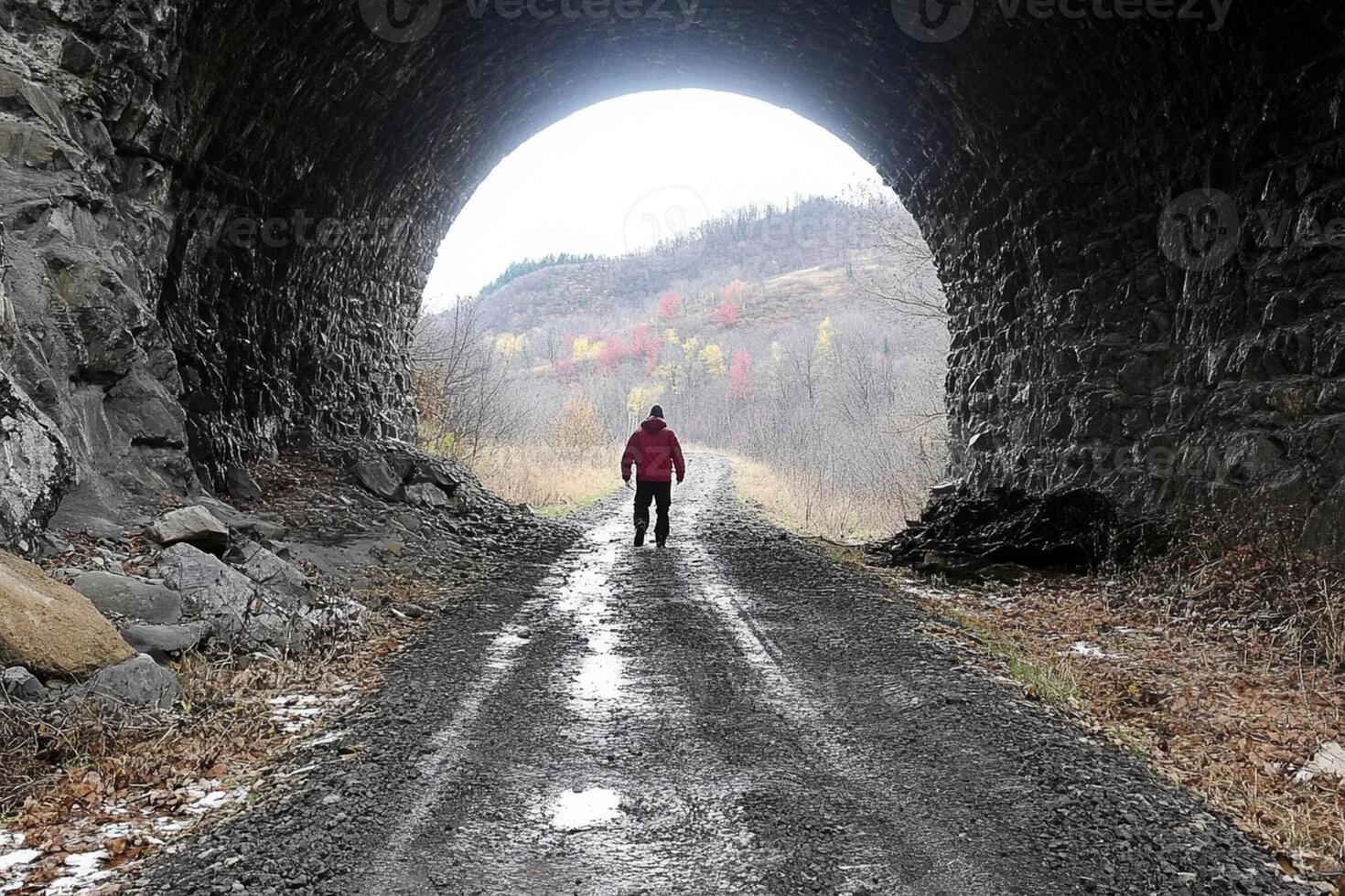 A person walking through a tunnel in the woods photo