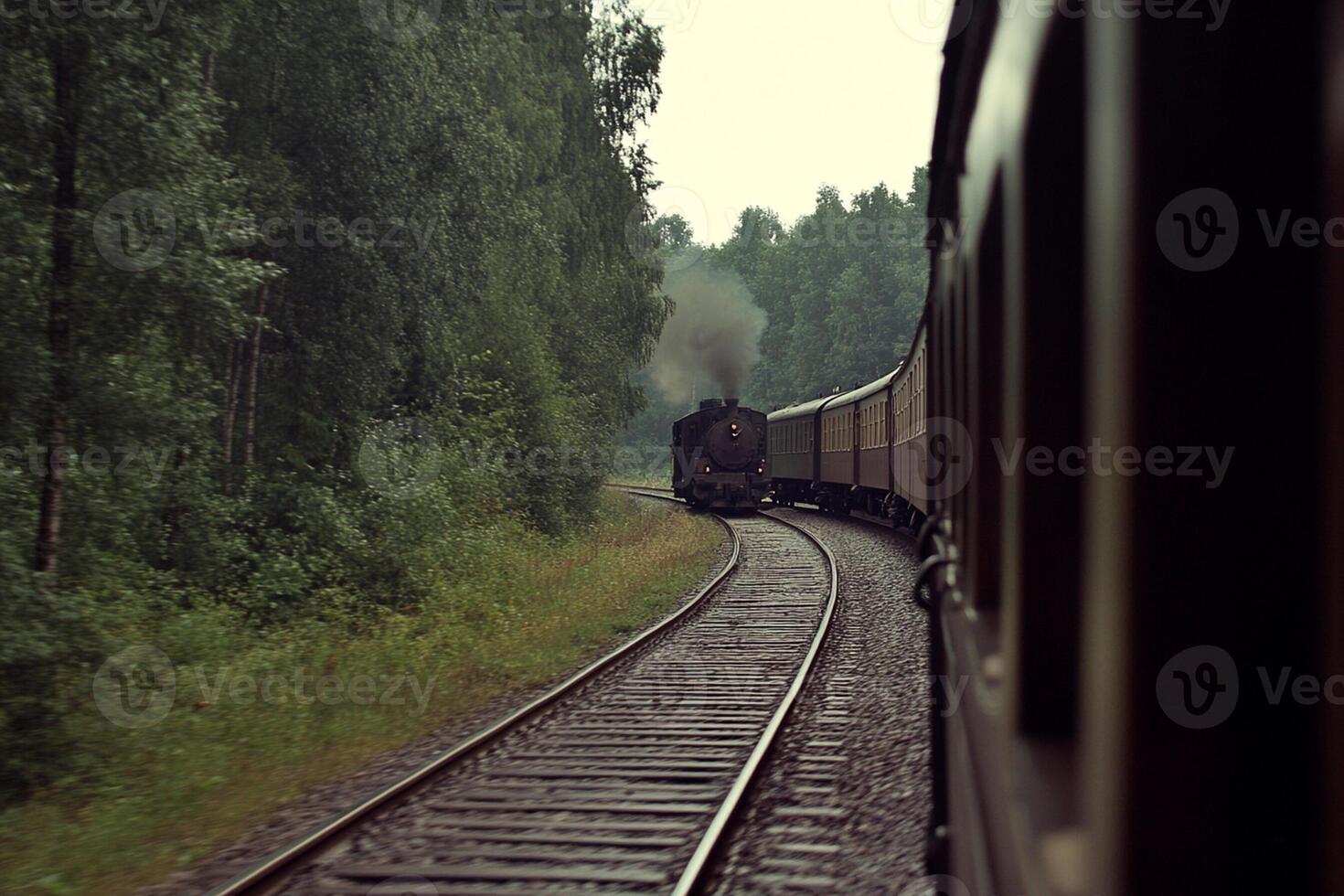A train traveling down a track through a forest photo