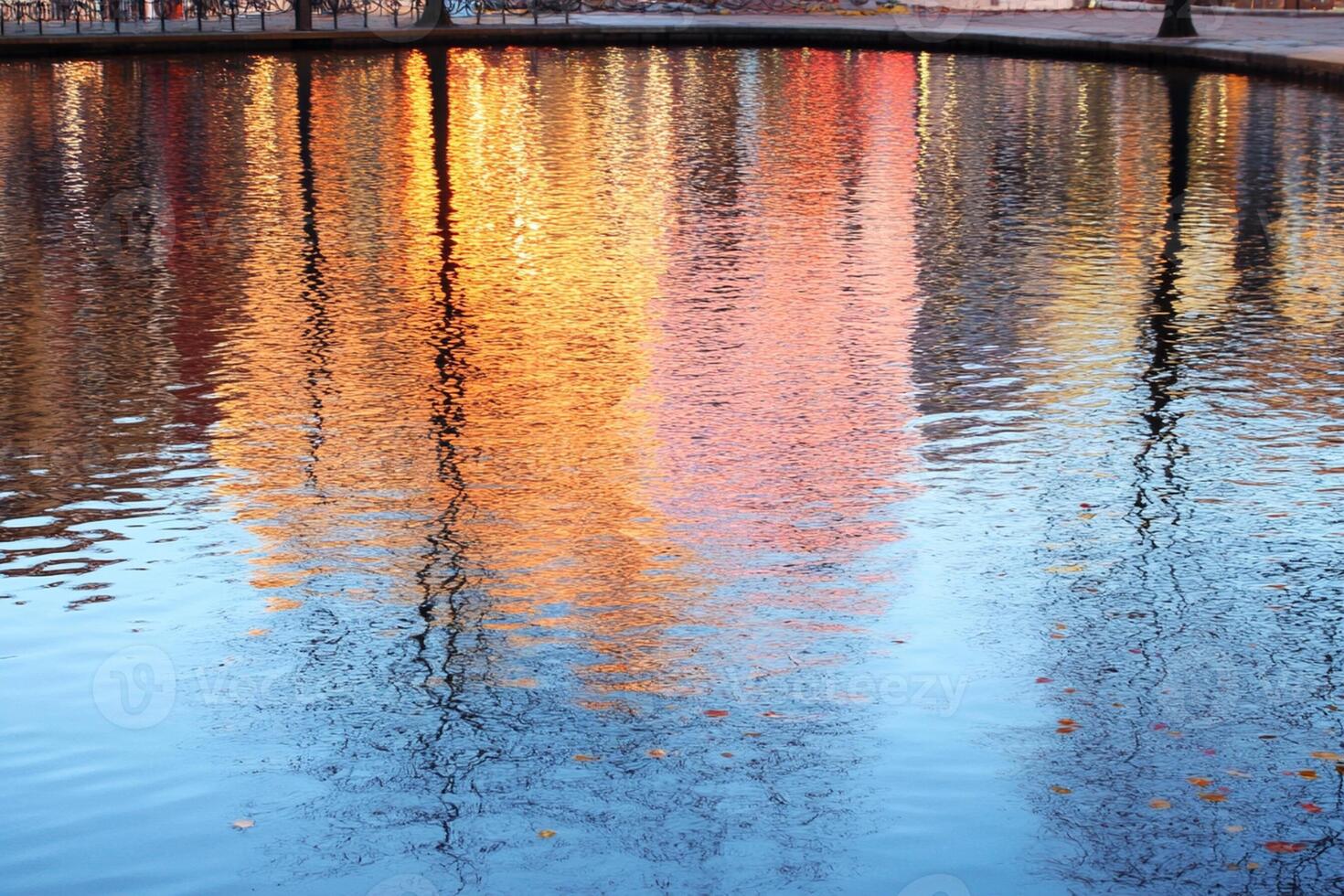A reflection of trees in a pond photo