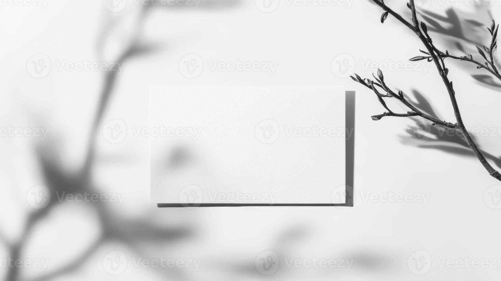 Blank card with delicate shadows cast by branches in a minimalist setting during daylight photo