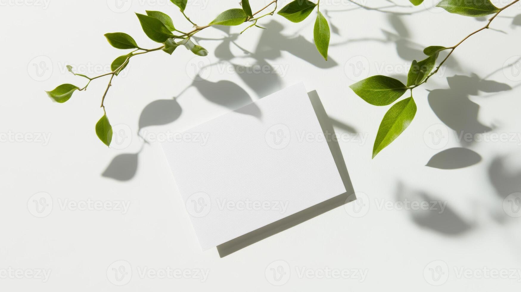 Textured green leaves cast shadows over a blank card on a light surface during daylight hours photo