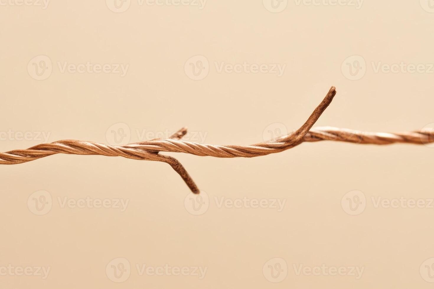 Twisted wire hangs against a plain background, showcasing intricate detail and texture photo