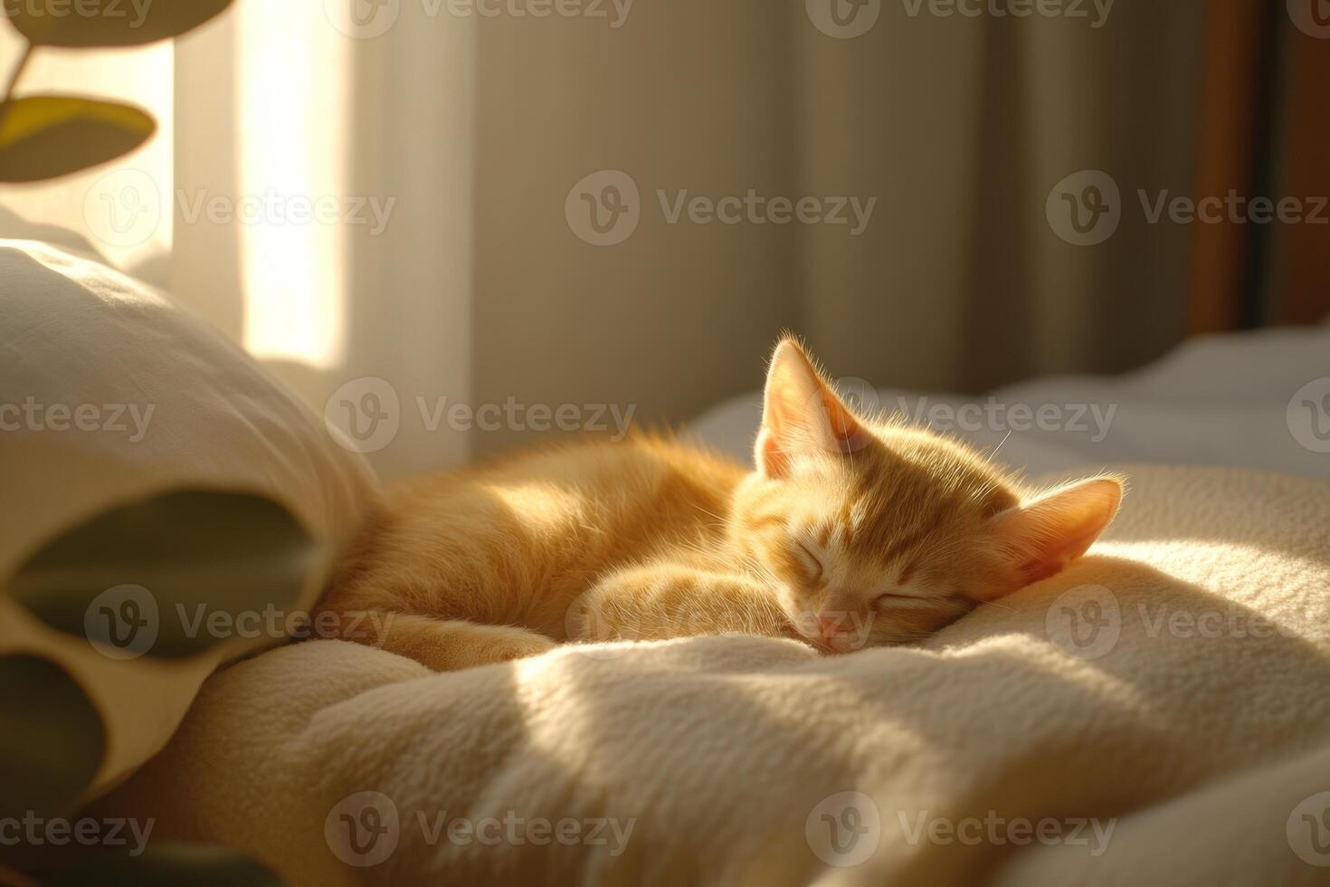 Ginger kitten peacefully napping on a soft bed in a bright room illuminated by gentle daylight photo