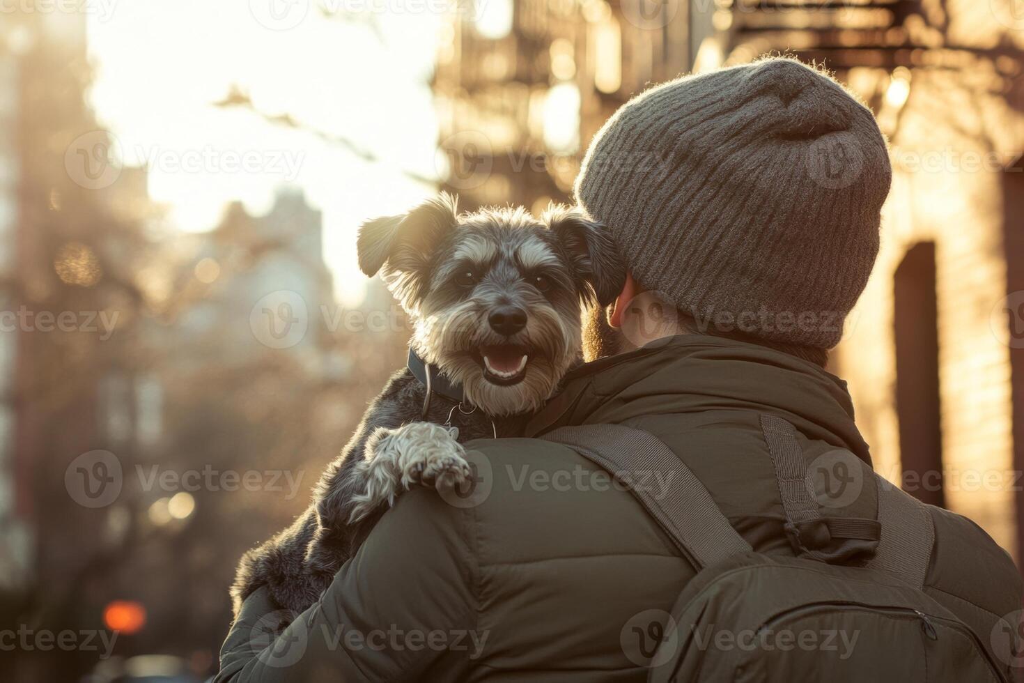 A man enjoying a sunny day in the city while holding a cheerful schnauzer on his shoulder photo