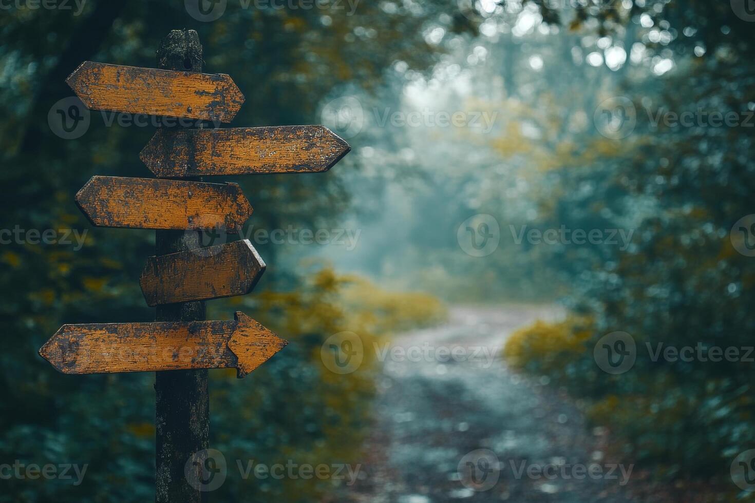 A weathered signpost with multiple arrows guiding adventurers through a dense forest on a misty day, highlighting choices in navigation photo