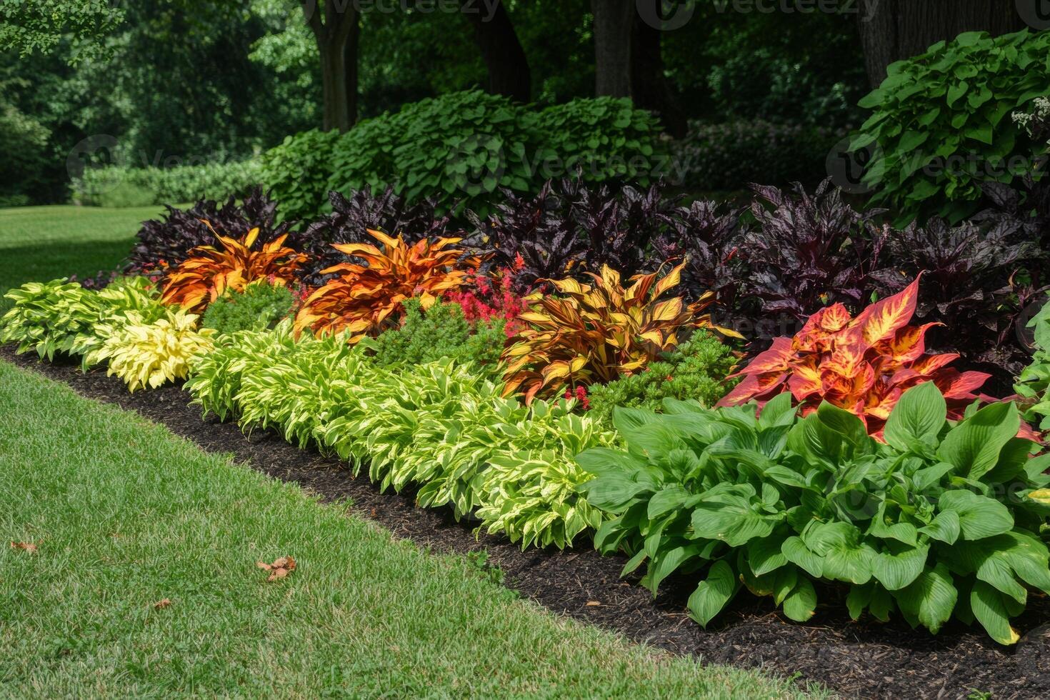 Organized garden bed with alternating rows of vibrant plants showcasing skillful horticulture in a sunny outdoor setting photo