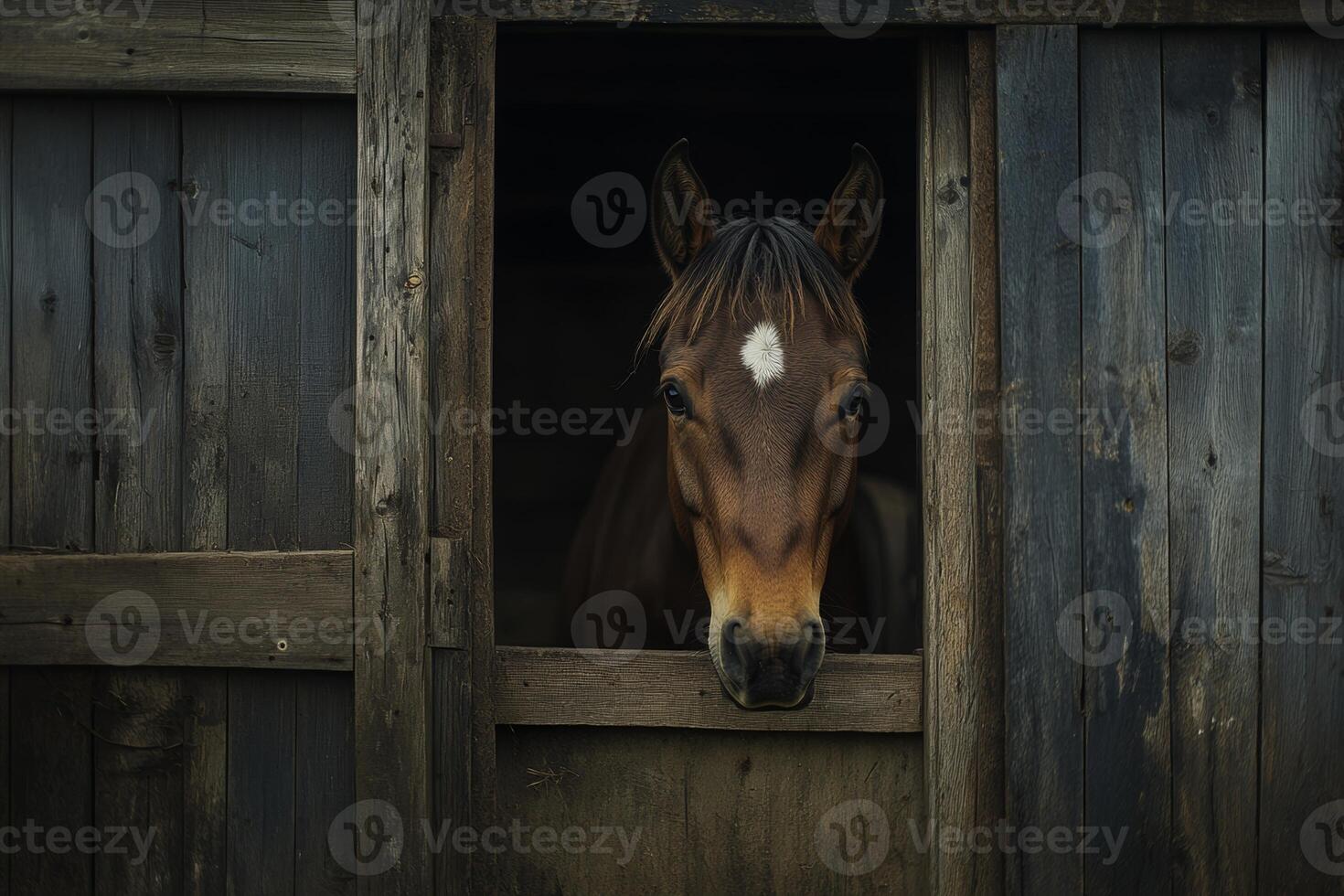 A brown horse gazes gently from its wooden stall in a rustic stable on a tranquil rural farm photo