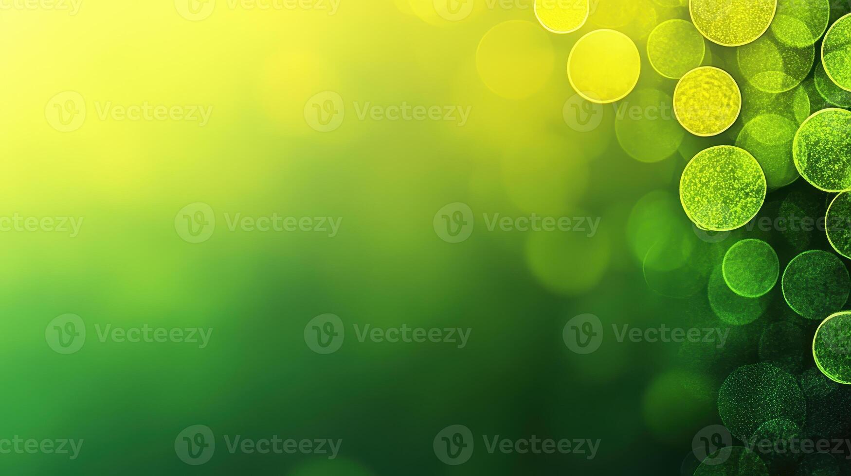 Green bokeh background, nature scene, summer, website banner photo