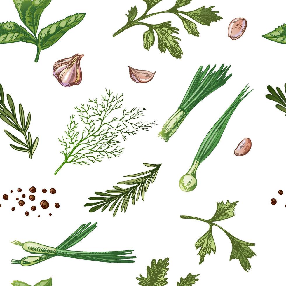 Seamless pattern with hand drawn herbs, garlic, green onions and spices in vintage engraving style vector