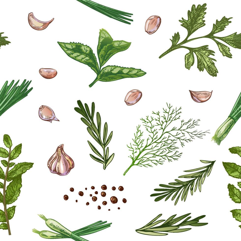Hand drawn vintage seamless pattern with herbs, garlic, onion and spices in engraved style vector