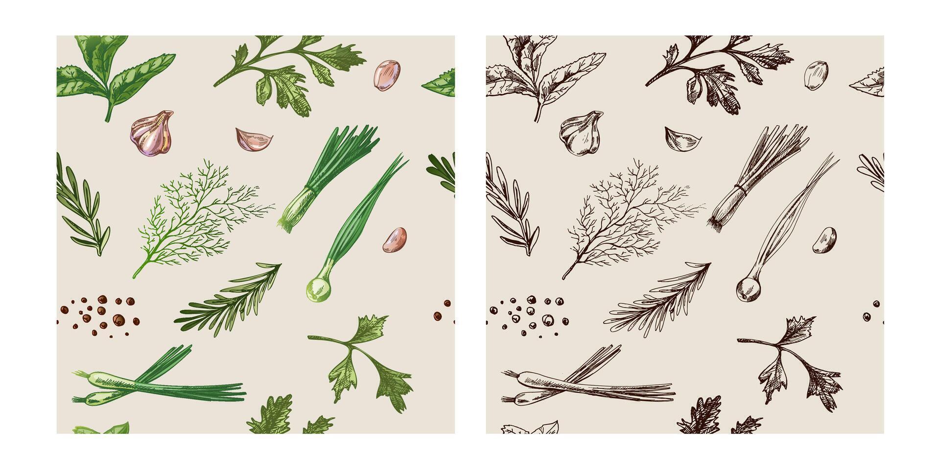 Hand drawn vintage seamless pattern of herbs, garlic, rosemary and onion in engraved style, color and monochrome set vector