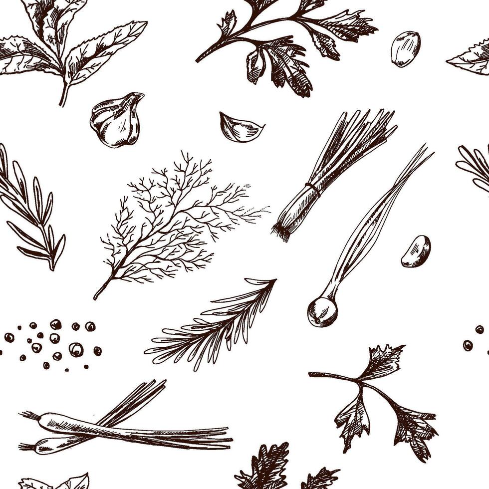 Seamless pattern of hand drawn vintage herbs and spices in engraved style vector