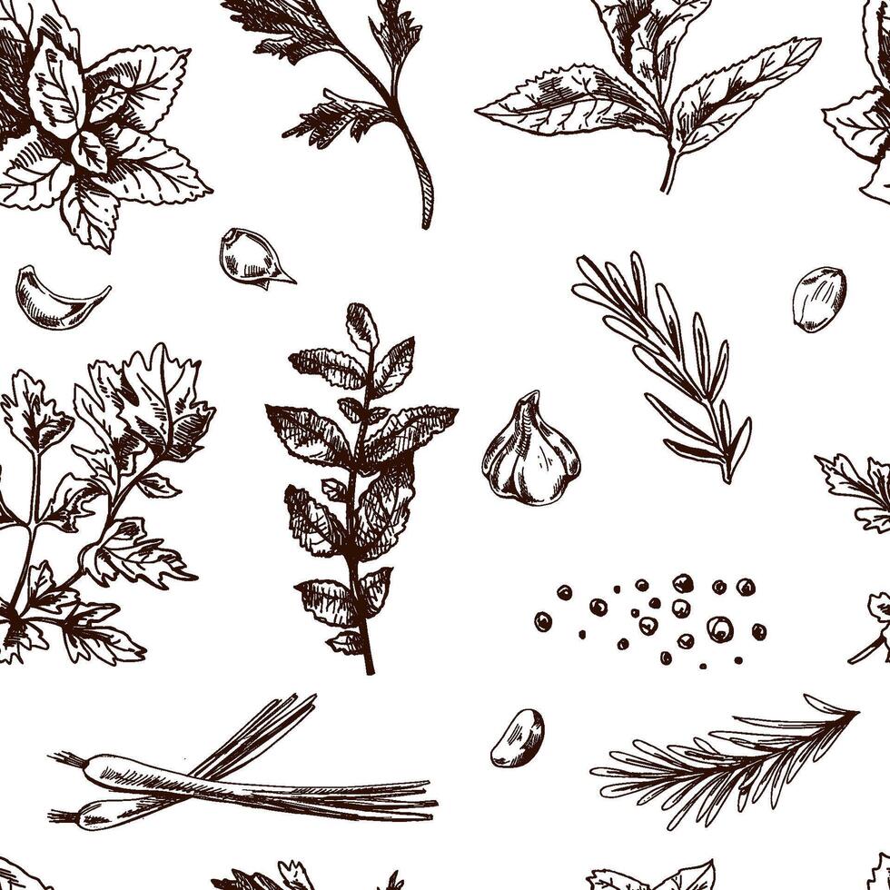 Hand drawn vintage seamless culinary herbs, garlic, rosemary and spice pattern in engraved style for food design vector