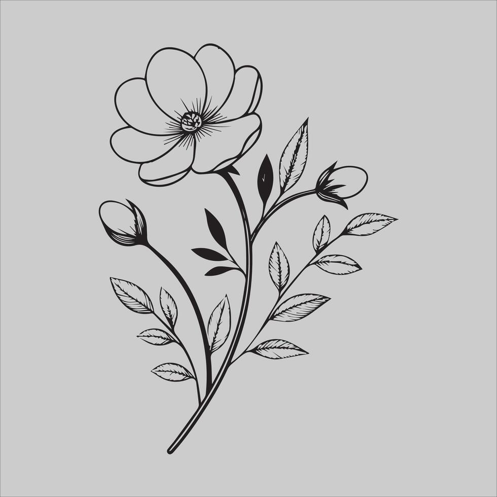 Midnight Bloom flower head vector