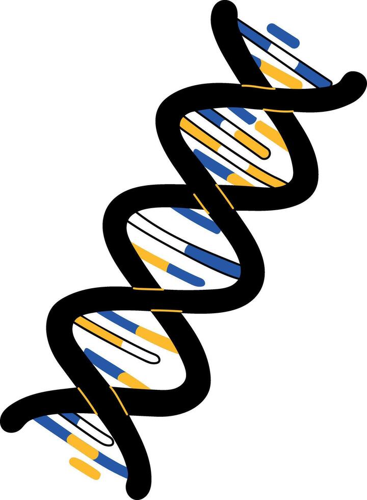 A doodle style illustration showing dna double helix structure vector