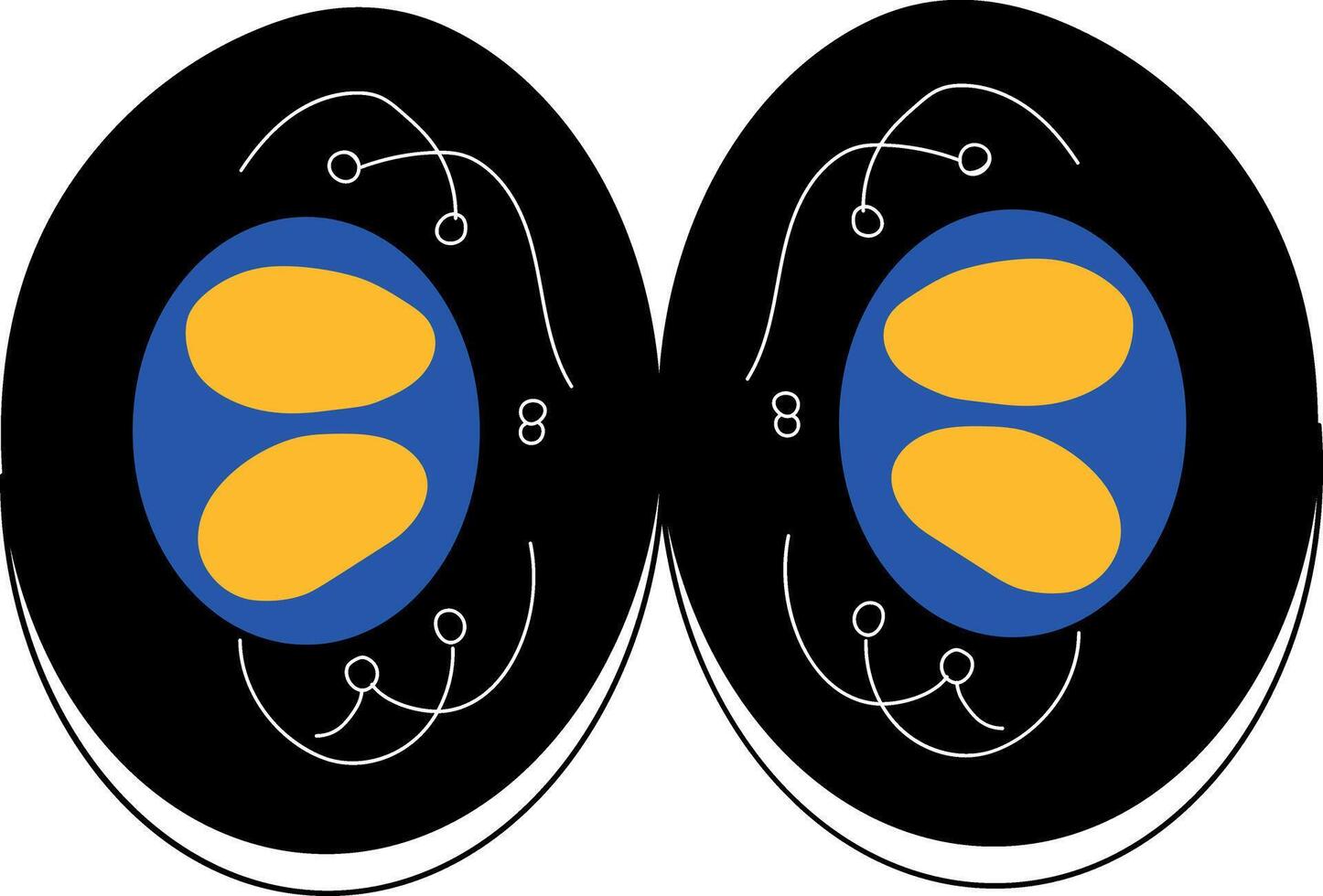 A hand drawn illustration depicting cell division vector