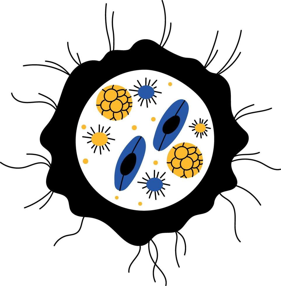 A drawing style illustration showing fungal structure vector