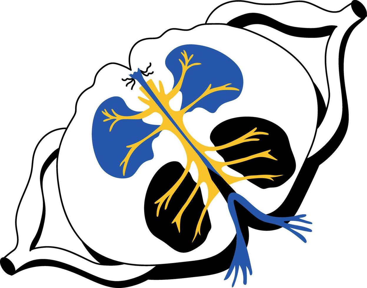 A doodle style illustration showing spinal cord vector